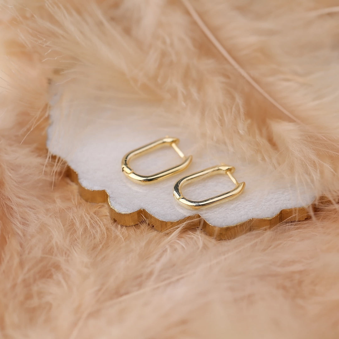 Olina Oval Hoop Earrings